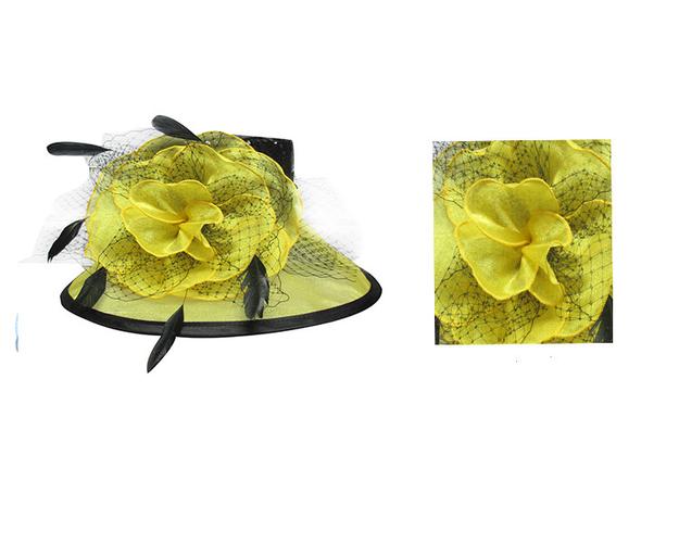 服裝鞋帽箱包,鐘表眼鏡 服飾 帽子 帽子批發(fā) 帽子工廠 歐美風柯根紗面